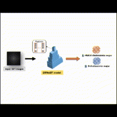 Visual Intelligence Laboratory @ Khon Kaen University